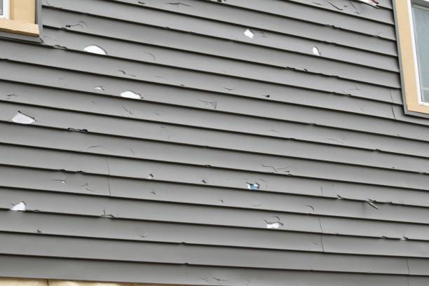 Best Hoarding Cleanup  in East Farmingdale, NY